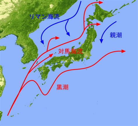 日本水流方向|日本近海の海流